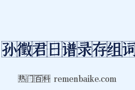 孙徵君日谱录存组词是什么意思的图片
